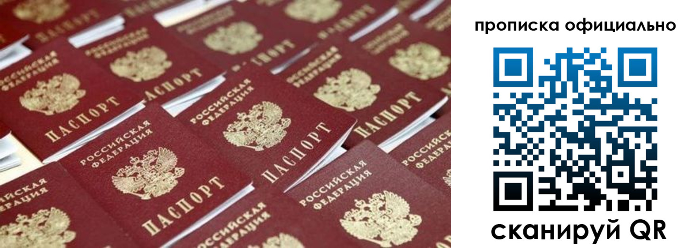 прописка гарантия в Свободном